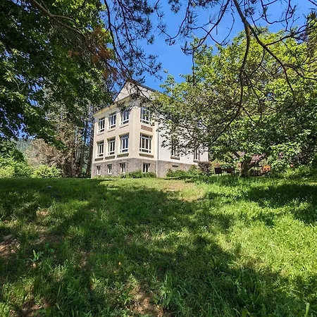 Gentiane - 2 Lits Doubles & Sauna, Ideale Famille - Fr-1-589-747 * Sapois (Vosges)